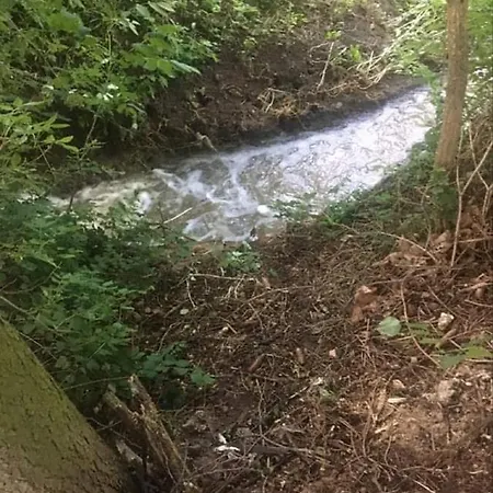 Pod Borovici Kovalovice